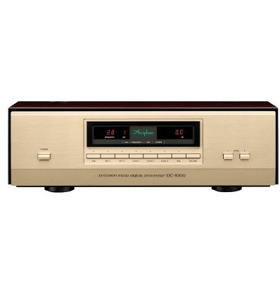 Accuphase DC 1000